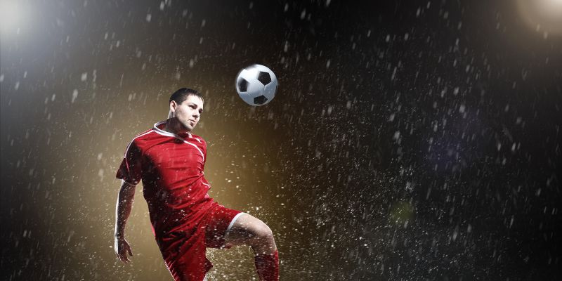 Cập nhật các thông tin bổ ích